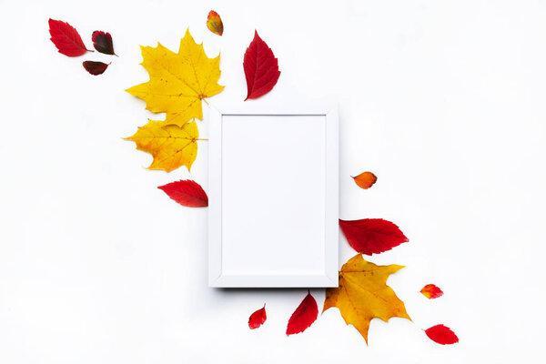 Frame made of beautiful autumn dried leaves on white background. Fall concept. Autumn background. Flat lay, top view, copy space