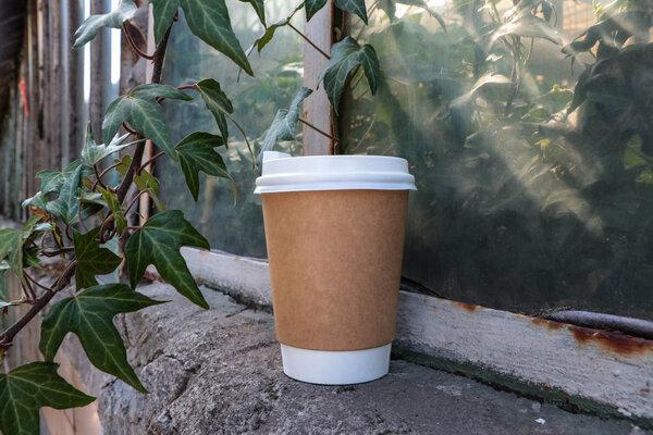 Coffee paper cup. A cup of coffee is in the plants. Glass in green. Mock up paper cup. Coffee to go.