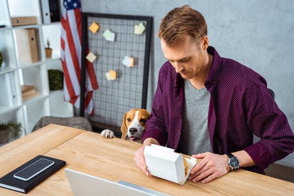 selective focus of businessman eating burger at table with laptop and smartphone while beagle standing near in office 
