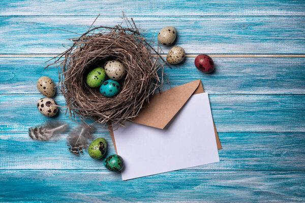Small colorful painted quail eggs as symbol of Easter day in bird nest as traditional decoration and mock-up of card on blue wooden background