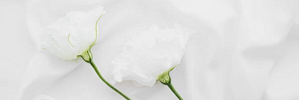 White rose flowers on silk fabric as bridal flatlay background, wedding invitation and holiday branding, flat lay design