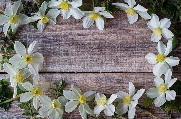 Spring flowers. Narcissus on a old wood background. A lot of white daffodils. Floral background. Happy Womens Day, Mothers Day, Valentines Day. Flat lay, top view, copy space
