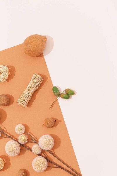 Fall minimal background. Herbarium Flat lay with shadows. Autumn Beige fashion  concept