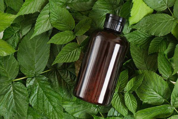 cosmetic bottle made of dark brown plastic on green leaves. natural cosmetics and body care concept, Blank label for branding mock-up.