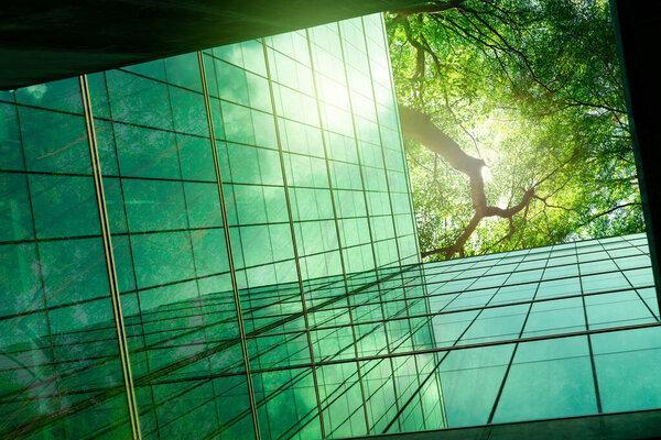 可更换的绿色建筑。现代城市的环境友好型建筑。ESG 。可持续玻璃办公楼与绿树。绿色环境办公室。企业可持续性。净零排放.