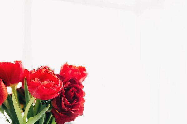 Bouquet of red tulip flowers on white background. Concept for greeting card for Easter, Mother's day, International women's day, Saint Valentine's day. High quality photo