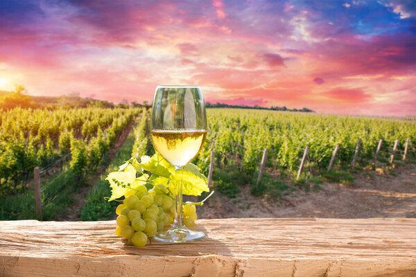 Barrel Wineglasses Cheese And Bottle In Vineyard At Sunset . High quality photo