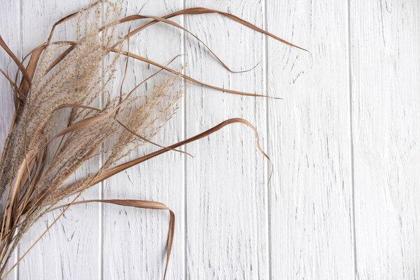 Background for a banner with dry flowers on a light wooden background. Autumn and winter greeting background. Dried flowers with a place for an inscription. Flat lay, top view.