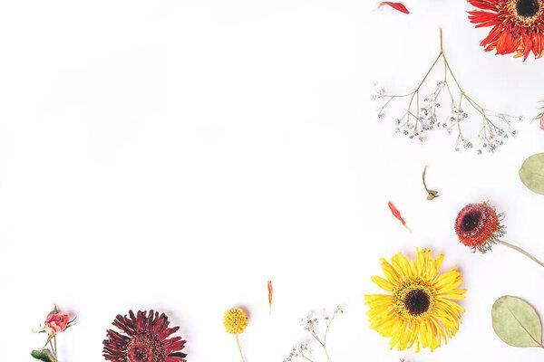 Frame of dry flowers on white background.