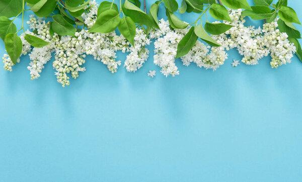 White lilac flowers on blue background. Floral border