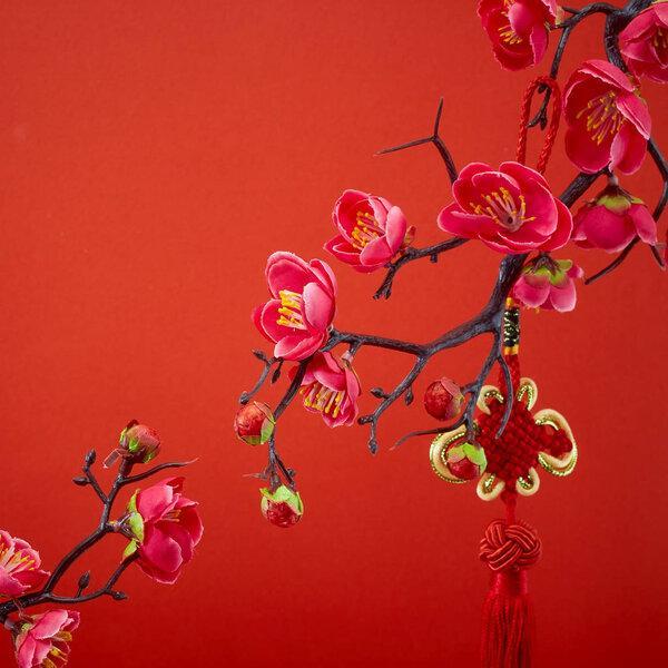 Chinese new year's decoration for Spring festival
