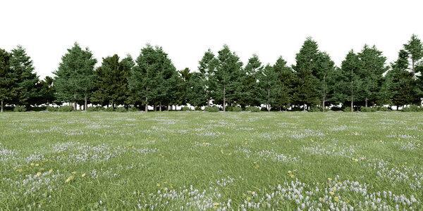 Realistic meadow and forest tree line. 3d rendering of isolated objects.
