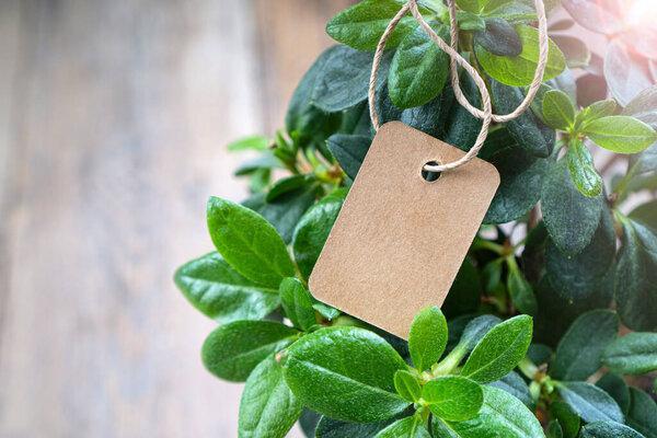 Handmade paper price tag or blank tag for your label lying on the azalea leaves.