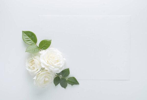 floral frame made with roses with copy space