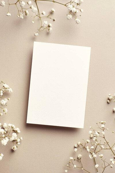 Wedding invitation or greeting card mockup with gypsophila plant twigs