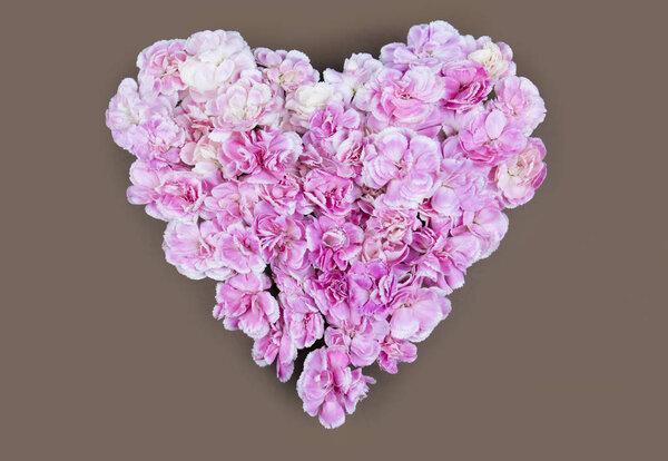 Flower flat lay flower fream