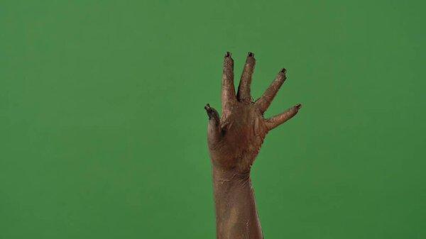A creepy zombie hand is frightening, covered in dirt and decaying skin, isolated on a green chroma key background. Perfect for Halloween party graphics, spooky decorations, and festive media design.