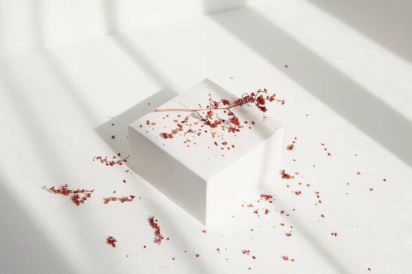 Mock up with white box, dry flowers for cosmetics on white background. Abstract empty podium for organic cosmetic products. Minimal style.