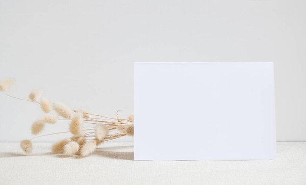 Blank white greeting card mock up.decoration with dried Lagurus ovatus flowers composition in modern glass vase  on  beige table and cement wall background