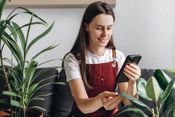 Attractive young gardener female takes pictures photographing house green plant uses smartphone sitting on cozy couch at home. Shares indoor plants leaves care in mobile application. Gardening concept