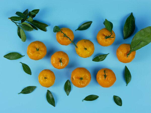 orange or Citrus sp with its leaves isolated on a blue background. healthy fruit