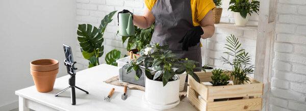 Relaxing home gardening. Smiling middle aged woman in black gloves with potted plant records gardening video blog in modern house - blogging and florist vlog influencer.