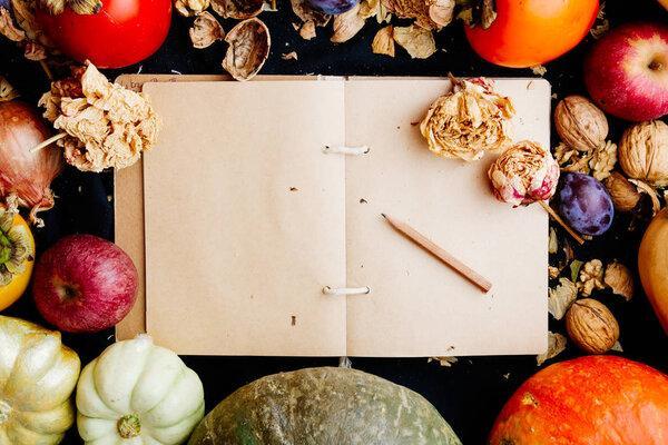 Autumnal food background, with apples, persimmons, pumpkins, nuts with dried flowers, over a black background with a vintage cook recipe book in the middle to add your recipe or text.