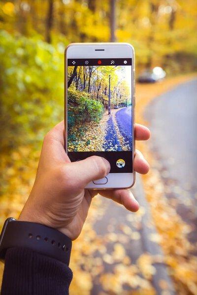 Man taking picture of yellow foliage in the forest in autumn with phone