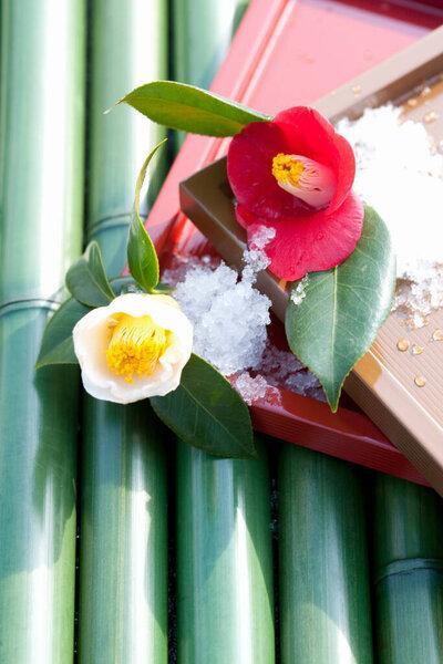 花园中美丽的花朵，背景，闭合在一起