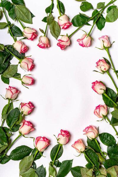 Floral composition. Frame or border made of beautiful fresh pink roses flowers on white background. Mock up for greeting card. Happy women's or mother's day concept. Flat lay, top view, copy space.